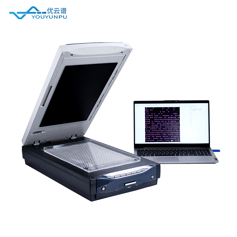 大米外觀品質分析儀：讓每一粒大米的數據說話